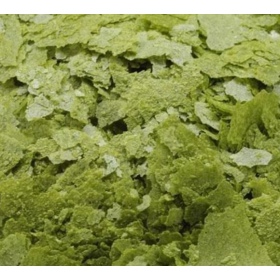 ON Spirulina Flakes 34g (flake food)